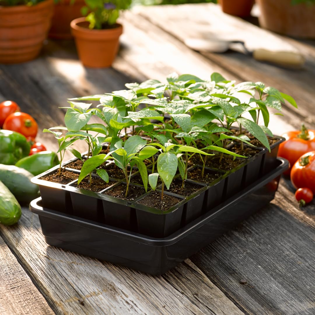 Best for beginners: Starter kit with labels