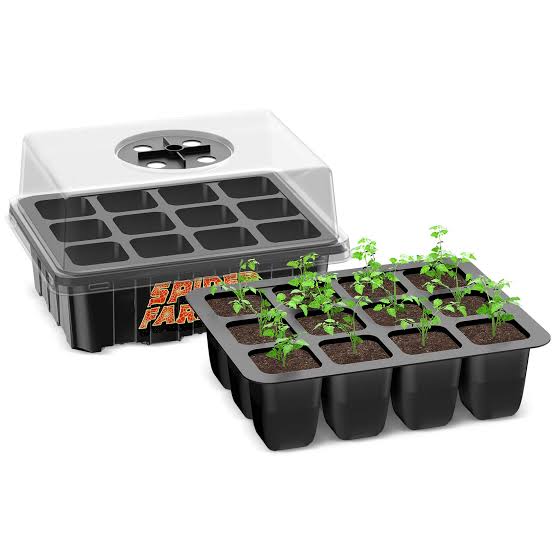 Best reusable and eco-friendly: Thick, durable trays