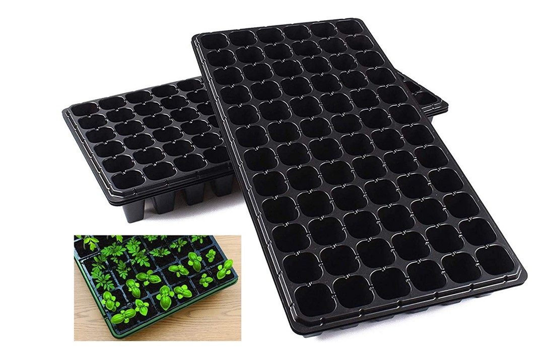 Several seed starter trays with seedlings